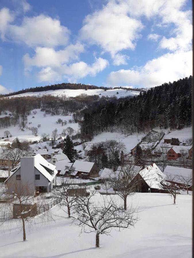 Les Locations De Stephanie ,Gite Le Verger Sondernach Exterior foto