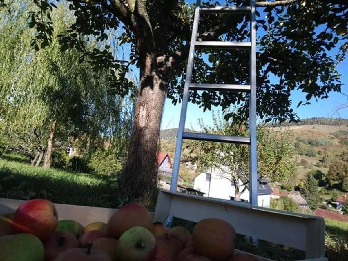 Les Locations De Stephanie ,Gite Le Verger Sondernach Exterior foto