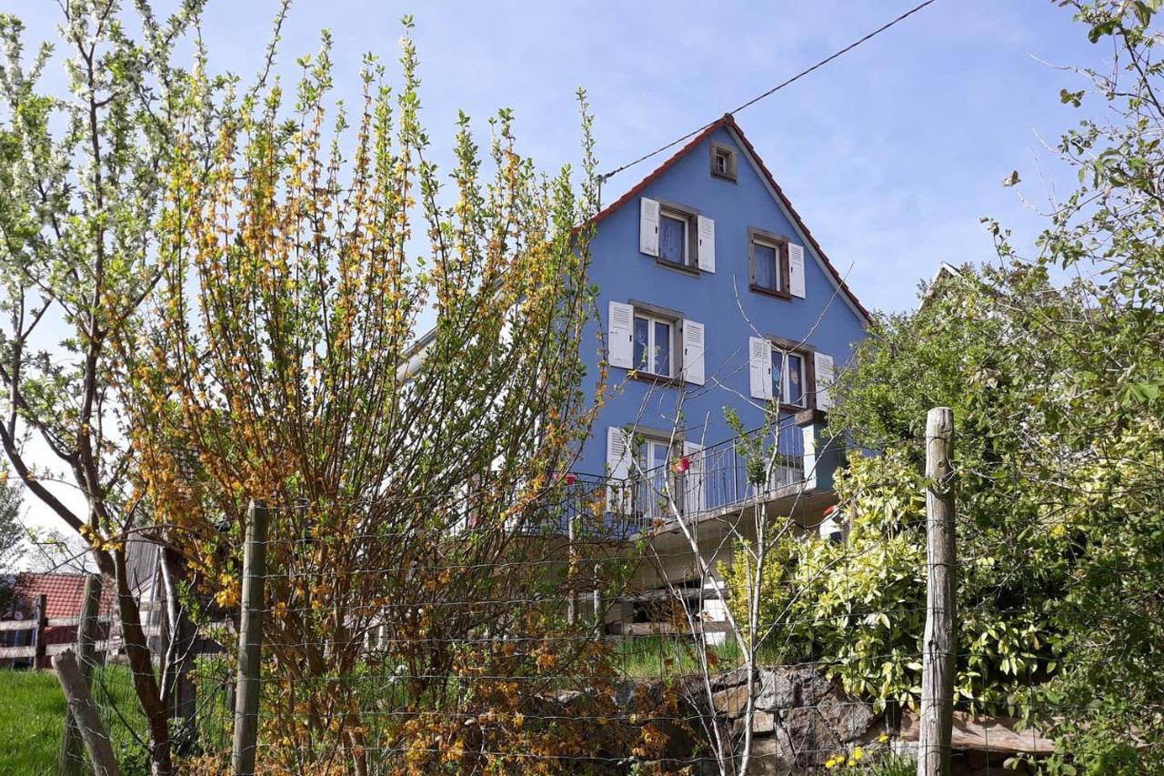 Les Locations De Stephanie ,Gite Le Verger Sondernach Exterior foto