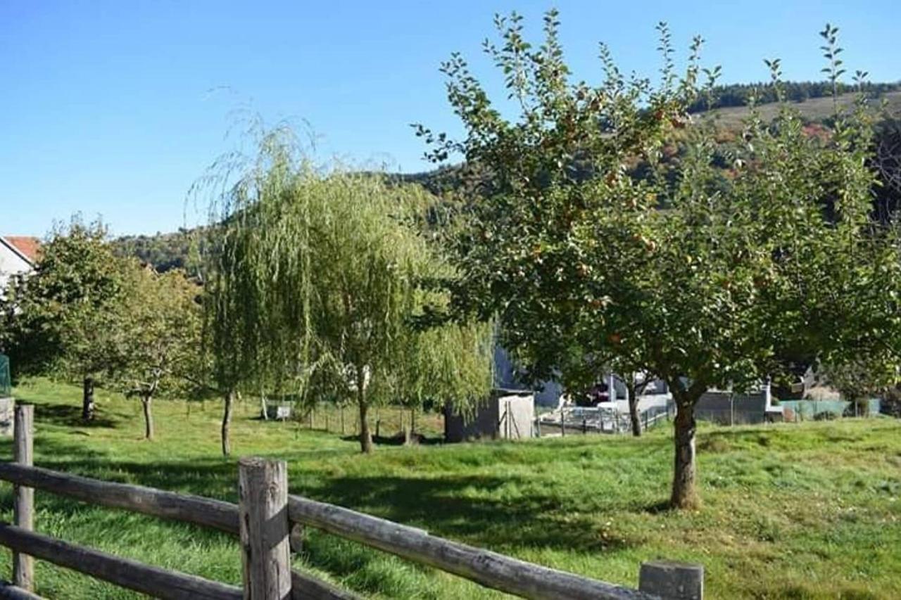 Les Locations De Stephanie ,Gite Le Verger Sondernach Exterior foto