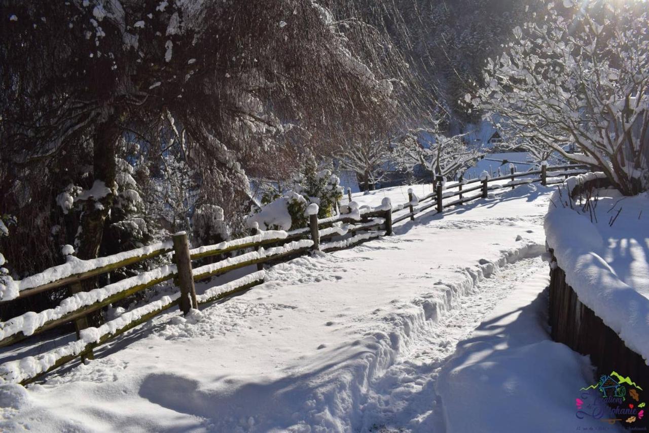 Les Locations De Stephanie ,Gite Le Verger Sondernach Exterior foto