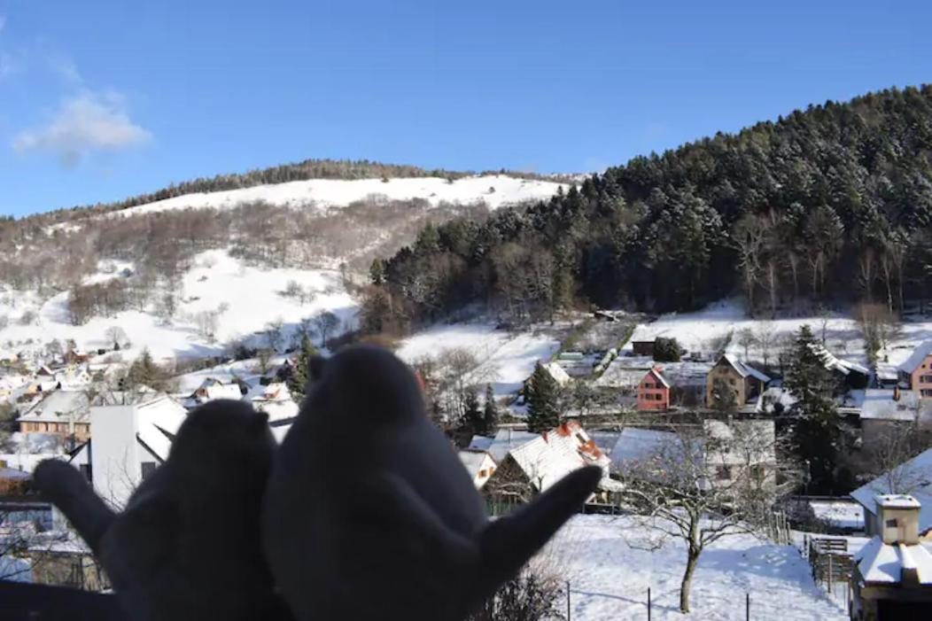 Les Locations De Stephanie ,Gite Le Verger Sondernach Exterior foto