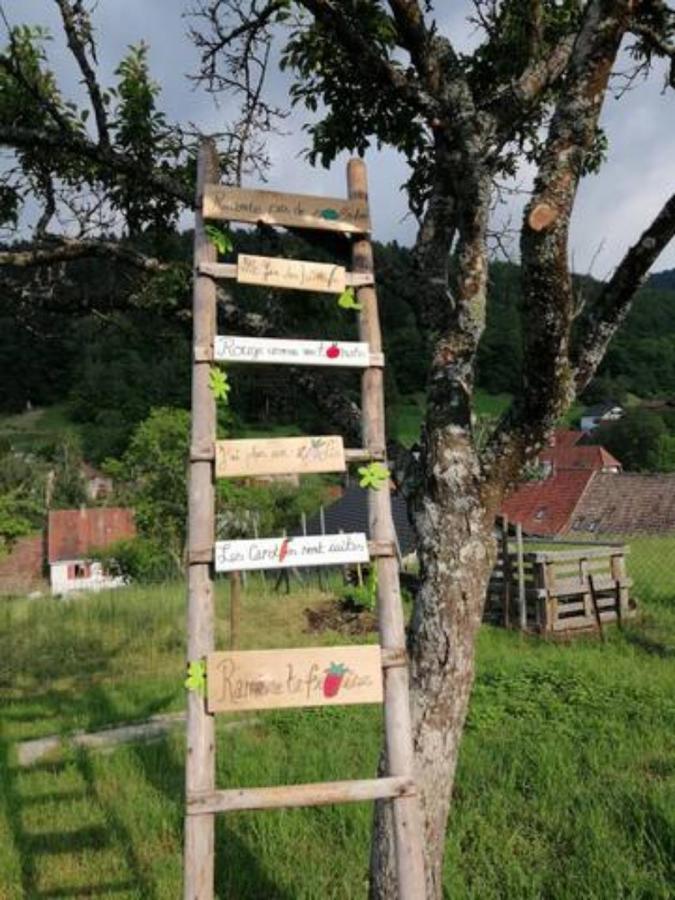 Les Locations De Stephanie ,Gite Le Verger Sondernach Exterior foto