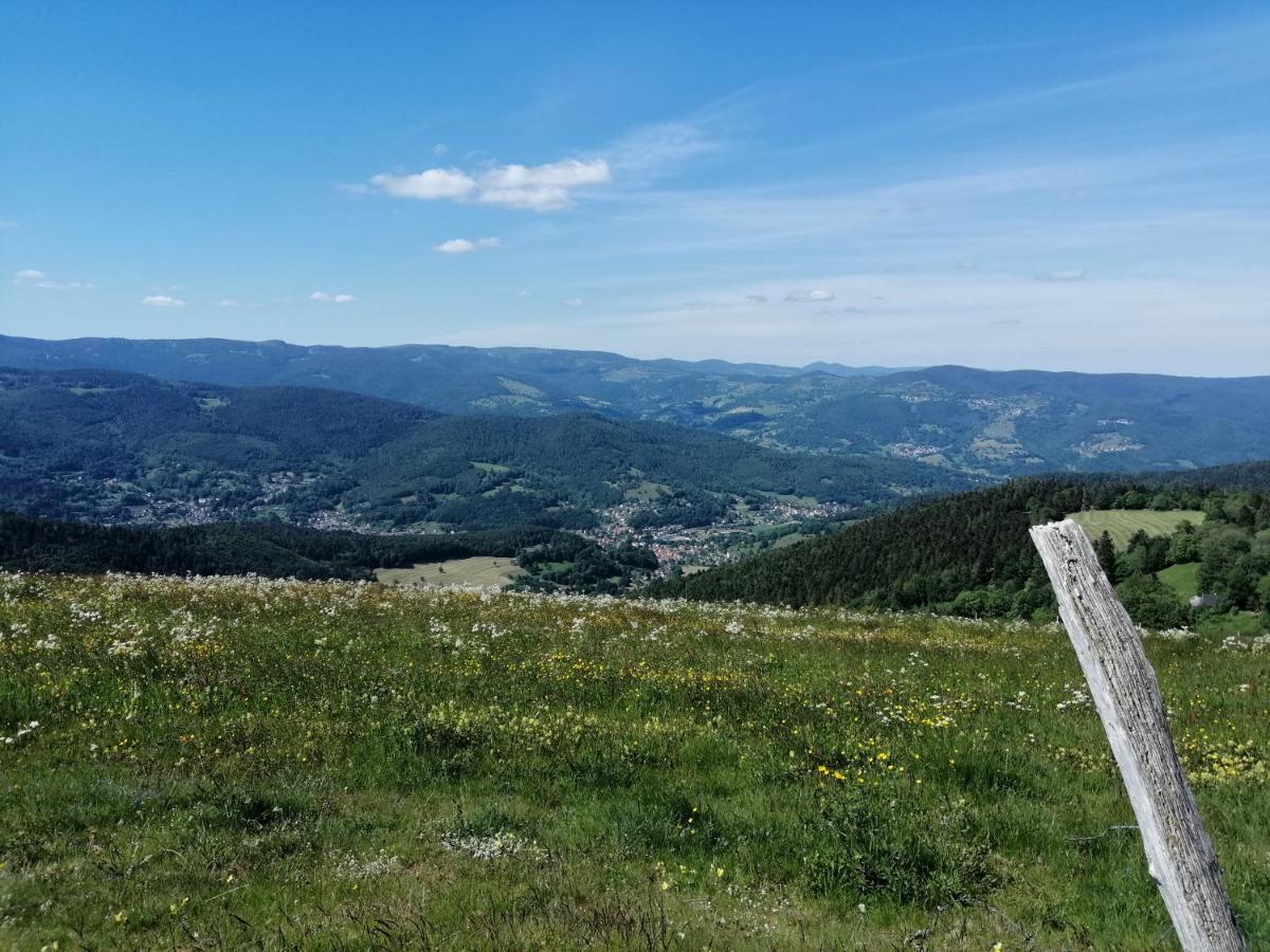 Les Locations De Stephanie ,Gite Le Verger Sondernach Exterior foto